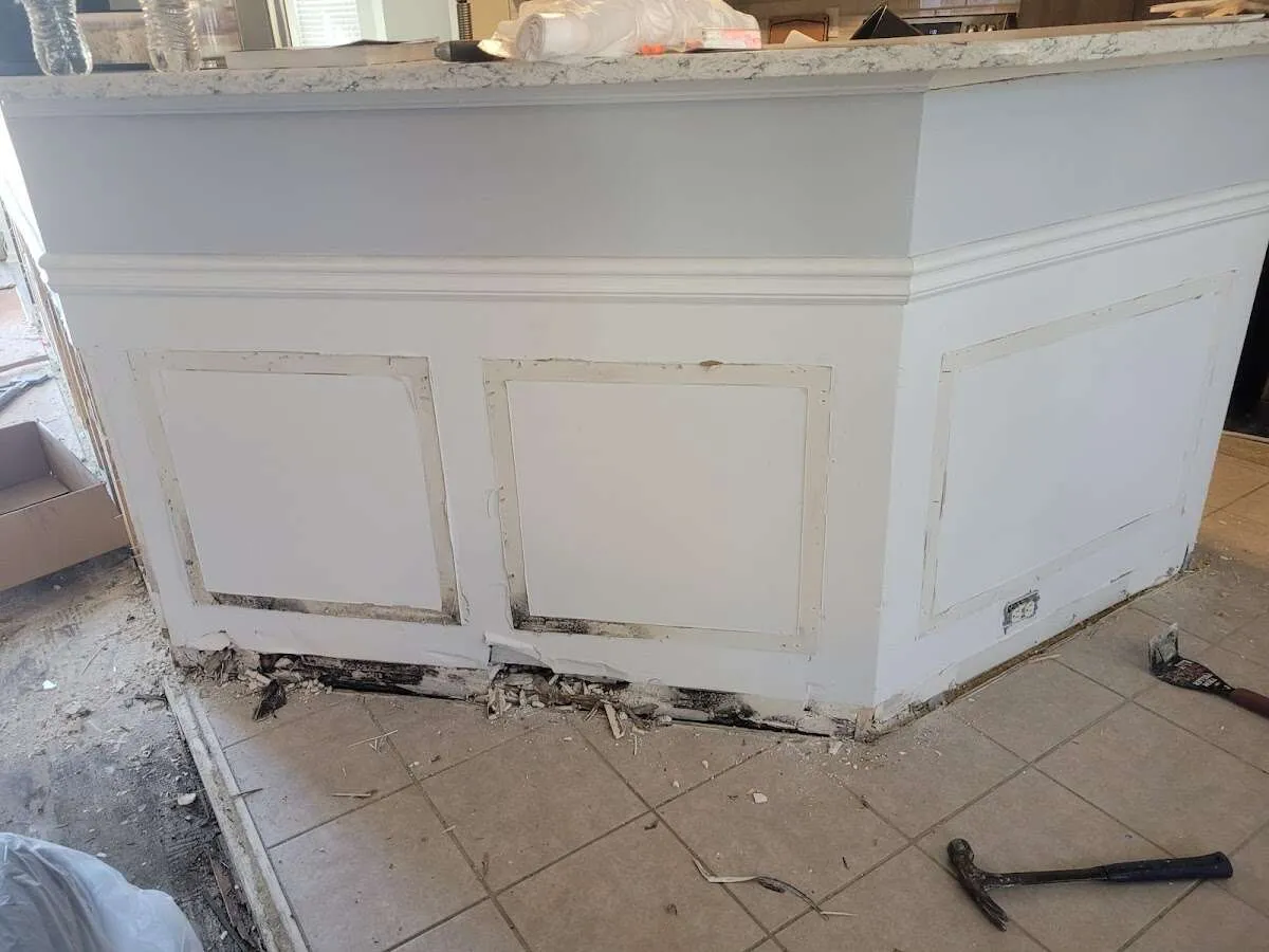 Water damage and mold on kitchen during Sewage Cleanup & Sanitation in Vienna